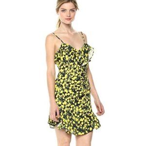 NWT PARKER Erica Ruffle Mini Dress #DD13